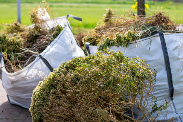 Recycling Services for Junk in Bridgeport, IL